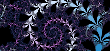 Fractal Image