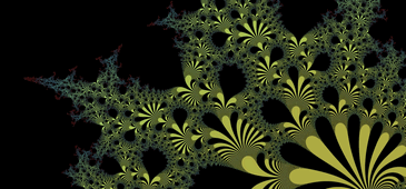 Fractal Image