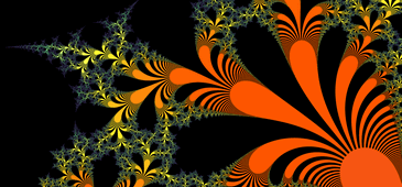 Fractal Image