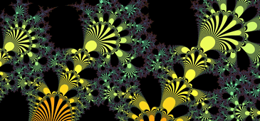 Fractal Image