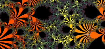 Fractal Image